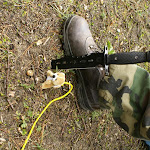 dsc01238.jpg