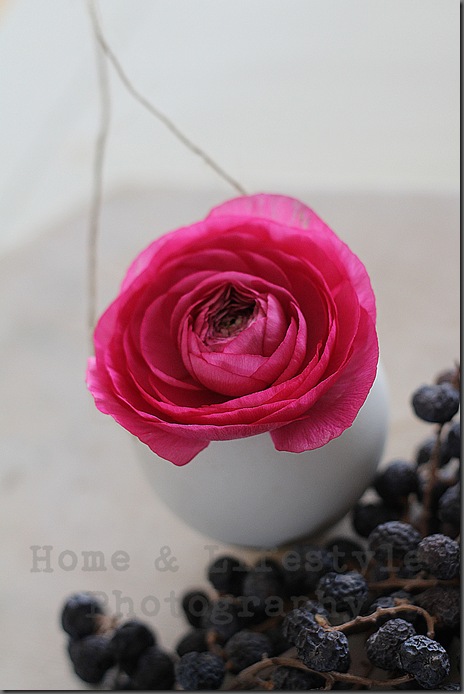 Home & Lifestyle Home & Lifestyle
