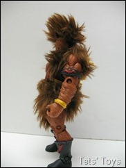 IMG_7193 IMG_7193