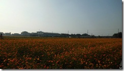 IMG_1150 IMG_1150