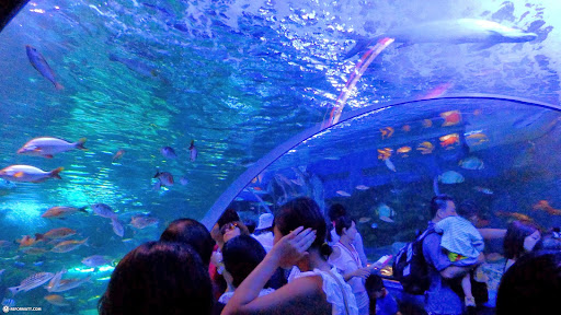 screen tunnel shinagawa screen tunnel shinagawa