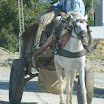 Tunesien2009-0544.JPG