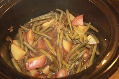 IMG_9390 IMG_9390