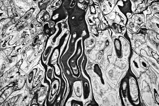 I fell in love with this work once I saw it was a photograph. Truly amazing what a camera can do!
'River Abstraction No. 1' Keith Dotson.
(zatista.com) I fell in love with this work once I saw it was a photograph. Truly amazing what a camera can do!
'River Abstraction No. 1' Keith Dotson.
(zatista.com)