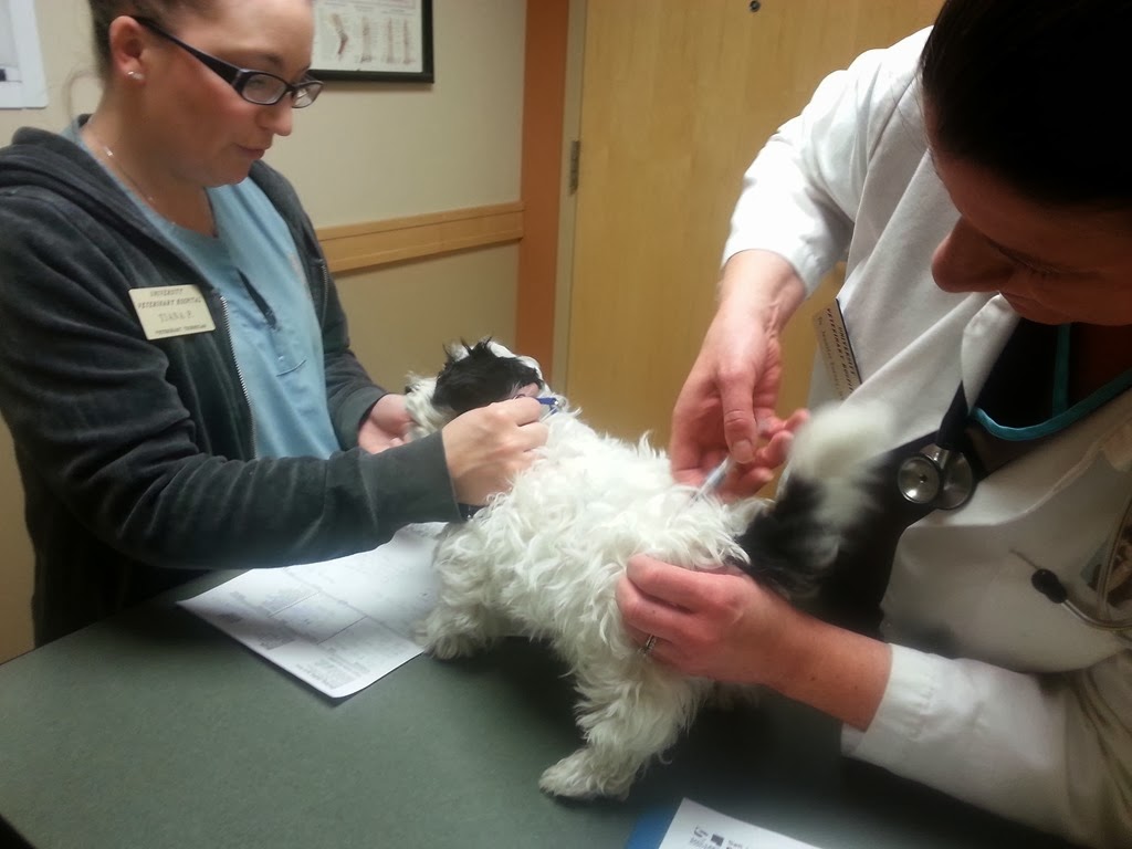 [20131214_111826%255B3%255D.jpg]