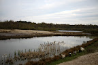 IMG_5044.JPG