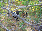 glacier_national_park_-_2007