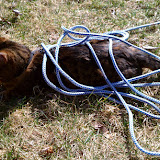 IMAG0194.jpg