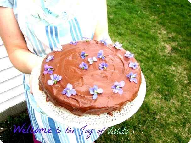 spring flowers, violet cake and Pete 031