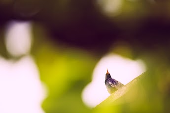 5.7.2013 2013-07-05.jpg
