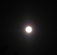Blue moon full moon 5. 8.31.12 Blue moon full moon 5. 8.31.12