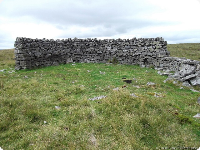 the shelter the shelter