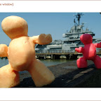 intrepid.1.jpg