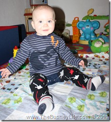 IMG_0193 IMG_0193