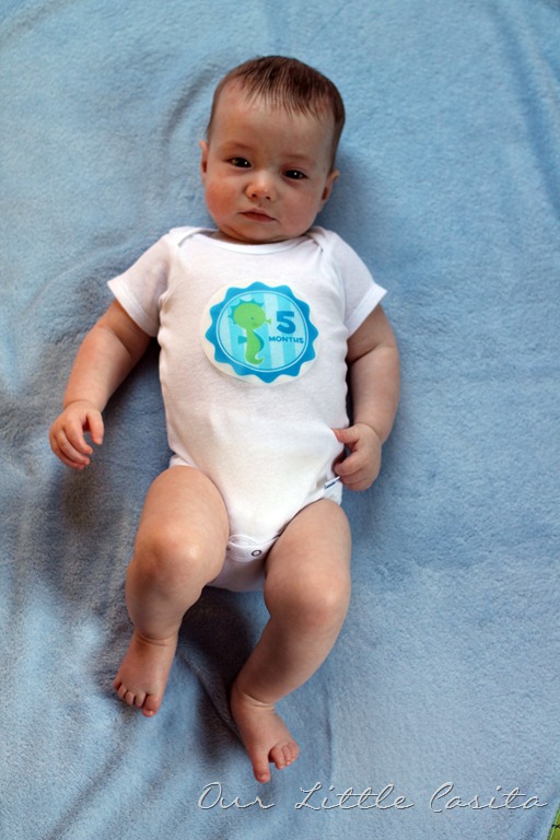 [toby5months%255B3%255D.jpg]