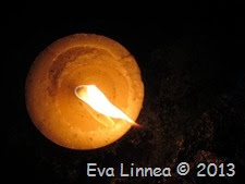 IMG_8566 IMG_8566