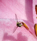 DSCF9959.JPG