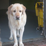 DSCN4755.jpg
