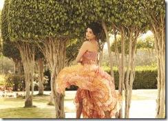 hot_actresses_on_CCL_2012_calender-1