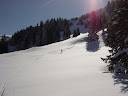 DSC01685.JPG