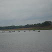 FestaVarzeadoBuriti2011-026.JPG