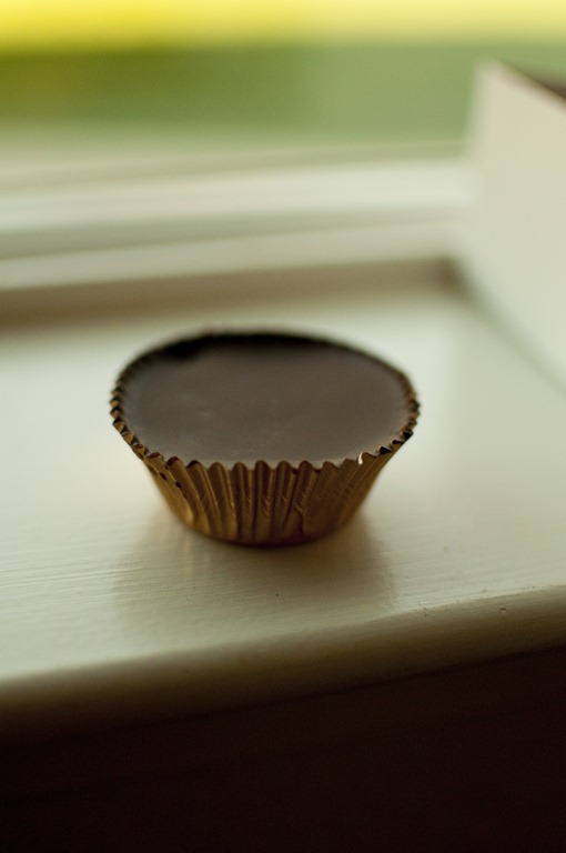 [suncups009%255B3%255D.jpg]
