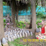 Индия 2010 284.jpg