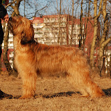 Abi - DSC_0147.jpg