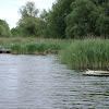 dsc03188.jpg