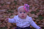 IMGP3617.jpg