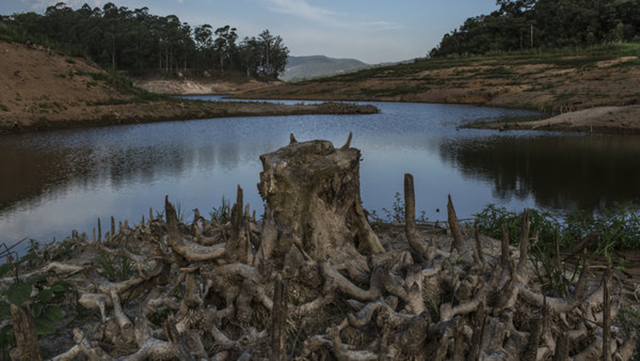 The dry banks of the Atibainha reservoir about 56 miles north of S&atilde;o Paulo, January 2015. Brazil is sometimes called the 'Saudi Arabia of water,' as if harnessing the coveted resource were a given comparable to living above a sea of oil. A more dystopian situation is unfolding however: water is in short supply. Photo: Mauricio Lima / The New York Times