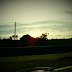 Pemandangan senja di sawah padi