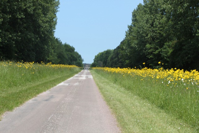 [IMG_1970%255B2%255D.jpg]