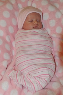 [DSC_8060%255B4%255D.jpg]