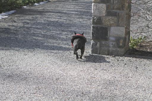 I'll just trot off to find her.