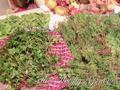 [Fall%2520harvesting%25202011%2520003%255B6%255D.jpg]