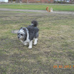 DSCN1095.JPG