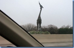 5828 Texas, Dallas - I-35E West - Dallas Zoo's giraffe sculpture