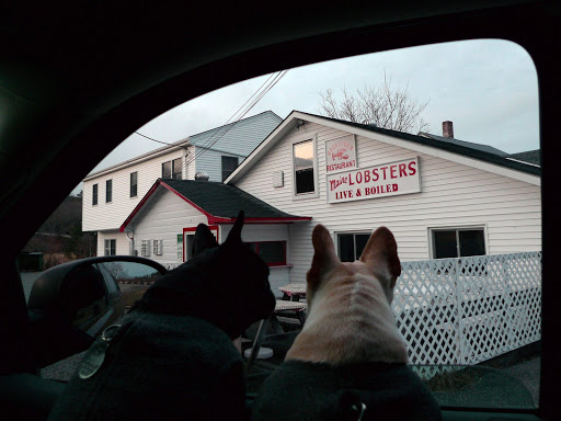 Even the Docksider Restaurant is closed!  The Wabanaki also trapped Maine lobsters and other shellfish that are so abundant here.