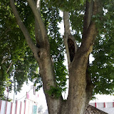 26052010473.jpg