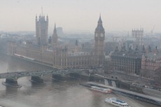 IMG_1354 IMG_1354