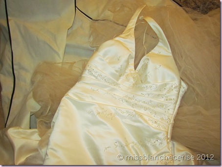 IMG_3864 IMG_3864