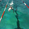 Kristalbad Dutch Open 2011 foto 1.jpg