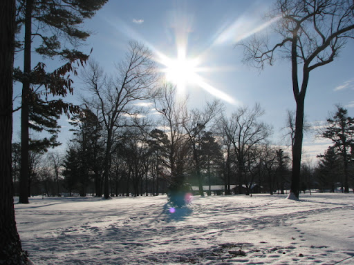 Snowfall at Phelps Grove Park  photo credit:  Michele Skalicky