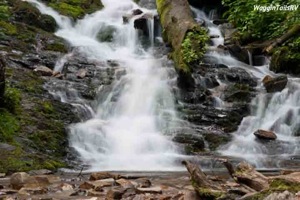 Mingo Falls-3.jpg Mingo Falls 3