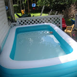 Pool.jpg Pool.jpg