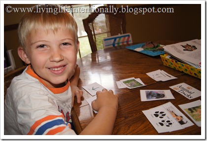 homeschool westward expansion unit- studying animal tracks homeschool westward expansion unit- studying animal tracks