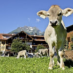 Der Hof Edenlehen - Am Ursprung - Photo 1