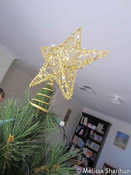 [20111203%2520Christmas%2520Tree%252002%255B7%255D.jpg]