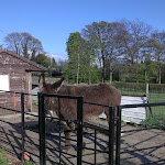IMAG0041.jpg